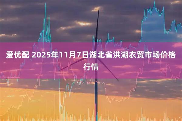 爱优配 2025年11月7日湖北省洪湖农贸市场价格行情