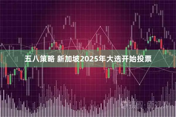 五八策略 新加坡2025年大选开始投票