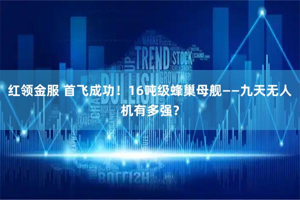红领金服 首飞成功!16吨级蜂巢母舰——九天无人机有多强?