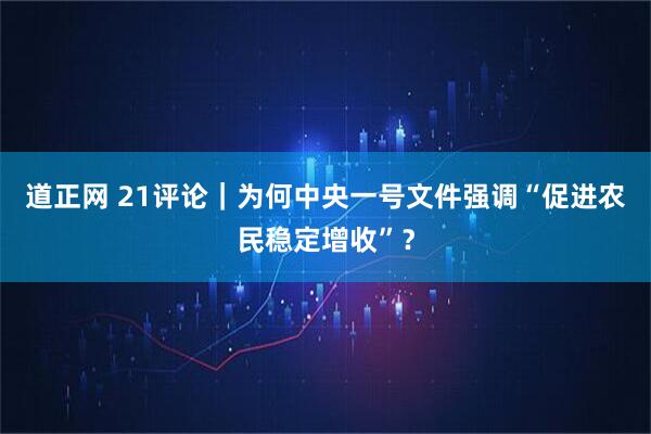 道正网 21评论｜为何中央一号文件强调“促进农民稳定增收”？